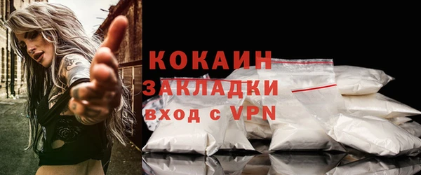 дживик Дмитров