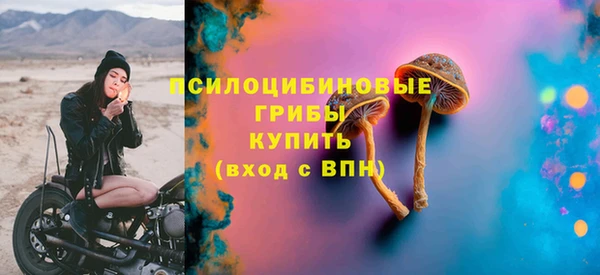 спайс Дмитриев