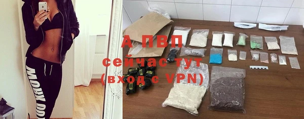 дживик Дмитров
