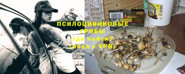 спайс Дмитриев