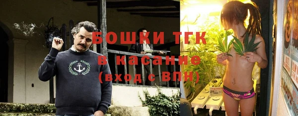 спайс Дмитриев