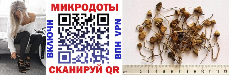 Галлюциногенные грибы Psilocybine cubensis  наркотики  Донецк 